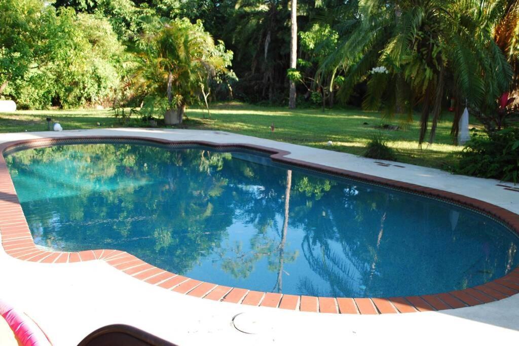 Quiet Private Studio With Pool For One Guest Bed & Breakfast Lake Worth Beach Exterior photo
